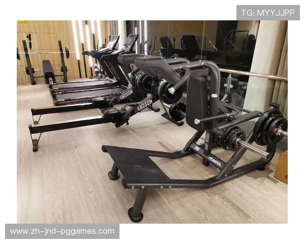 高端健身器材价格走势分析：如何合理选择性价比高的高端健身器材