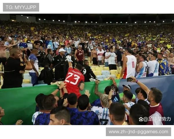 法甲足球文化及其对球迷的影响